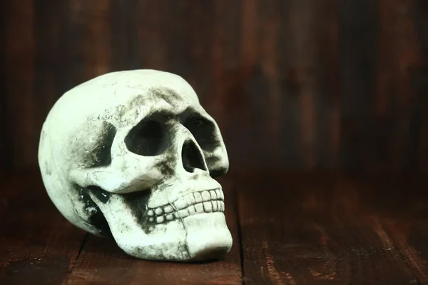 Cranio su legno Grunge Rustick sfondo — Foto Stock