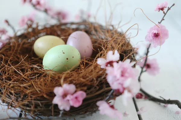 Scena di Pasqua a tema Natura morta in luce naturale — Foto Stock