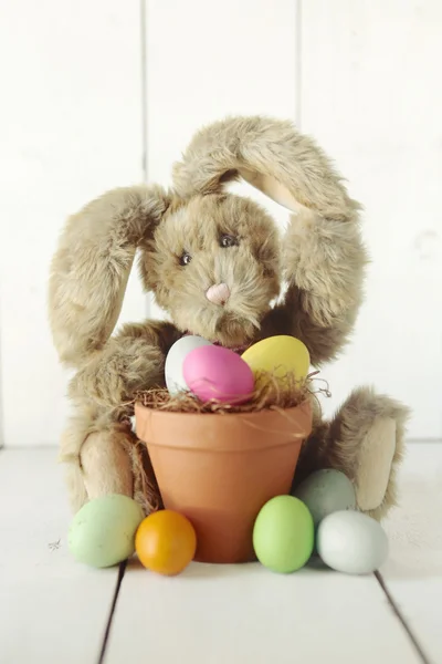 Imagen de ocasión festiva temática conejito de Pascua — Foto de Stock