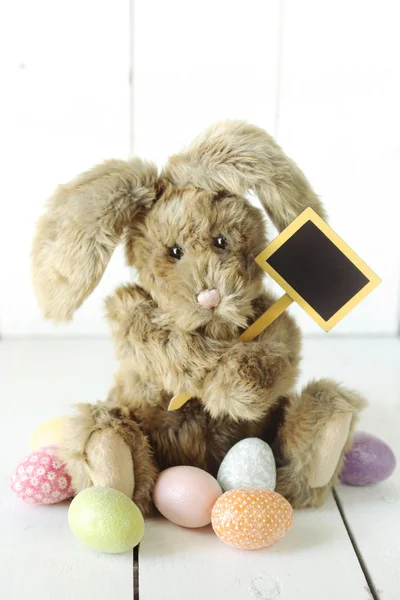 Easter bunny thema vakantie gelegenheid afbeelding — Stockfoto