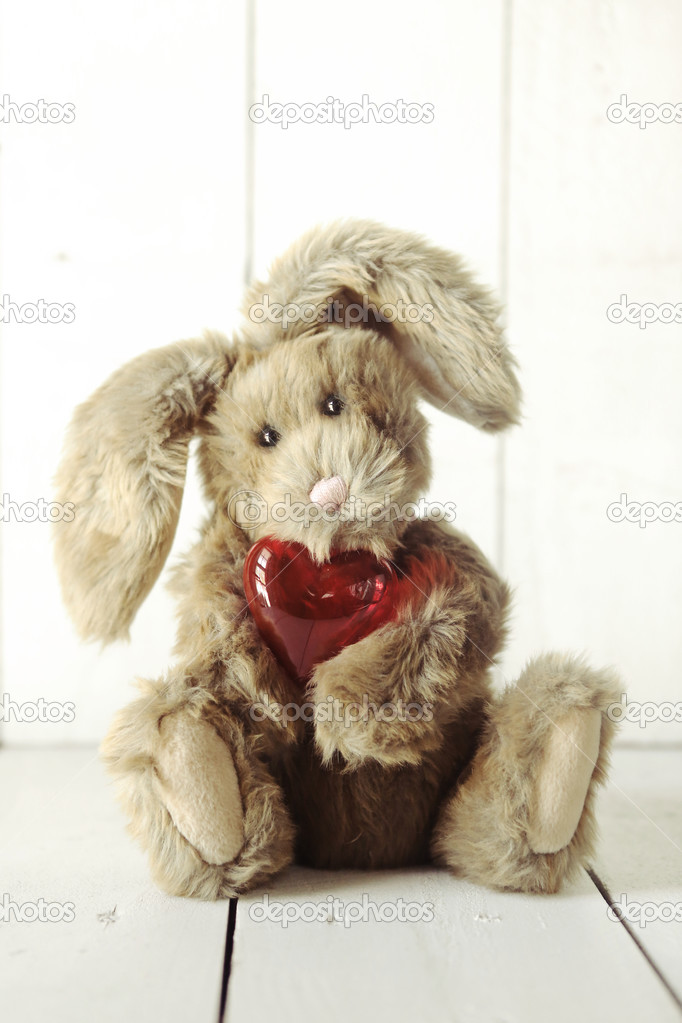 teddy bear bunny