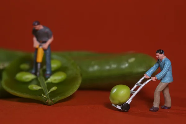 Construction Workers in Conceptual Food Imagery With Snap Peas — Stock Photo, Image