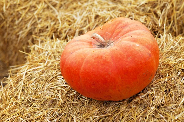 Huge pumpkin in hay — Stock Photo, Image