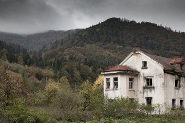 Kasvetli ormanın evde