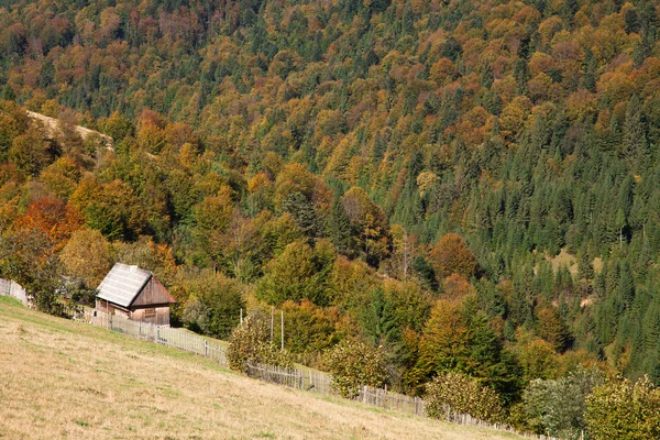Herfst in de Karpaten — Stockfoto