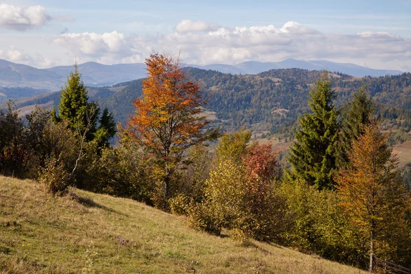 Φθινοπωρινό τοπίο στα Καρπάθια βουνά — Φωτογραφία Αρχείου