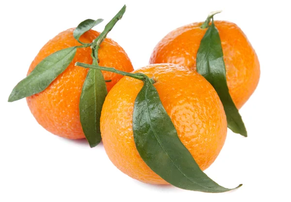 Tangerinas frescas — Fotografia de Stock