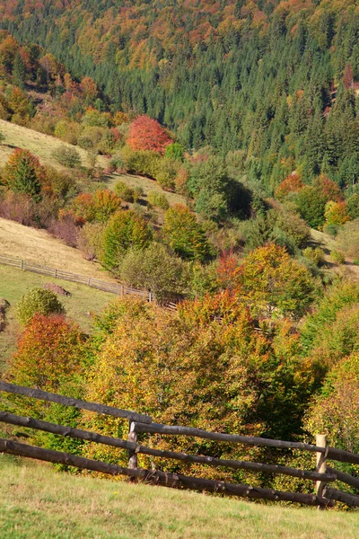 Karpacki krajobraz górski — Zdjęcie stockowe