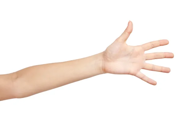 Beyaz arkaplanda kadın eli — Stok fotoğraf