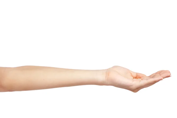 Mão feminina sobre fundo branco — Fotografia de Stock