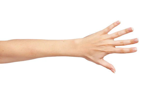 Female hand isolated on white background — Stock Photo, Image