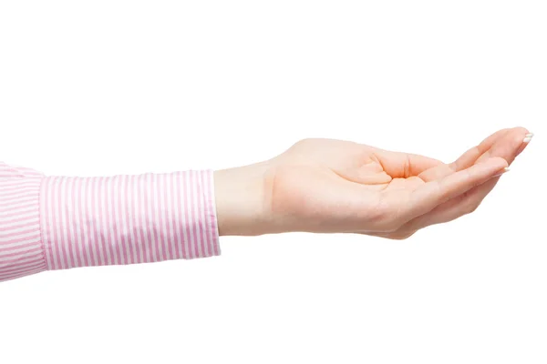 Female hand isolated on white background — Stock Photo, Image