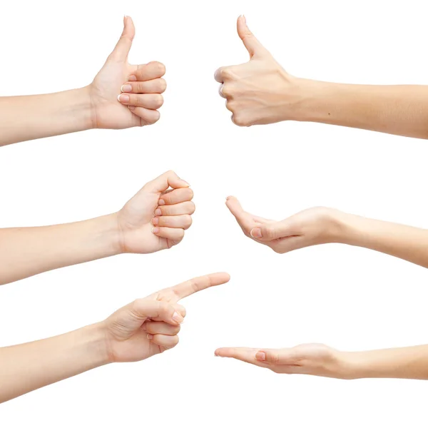 Set of female hands closeup — Stock Photo, Image