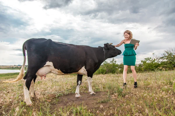 Young woman and a cow — Stock Photo, Image