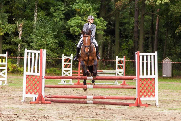 Wroclaw, Polonia: SEPT 29 - Juicios a caballo en Wroclaw —  Fotos de Stock