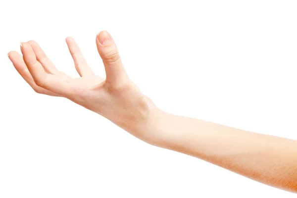 Mão feminina isolada sobre fundo branco — Fotografia de Stock