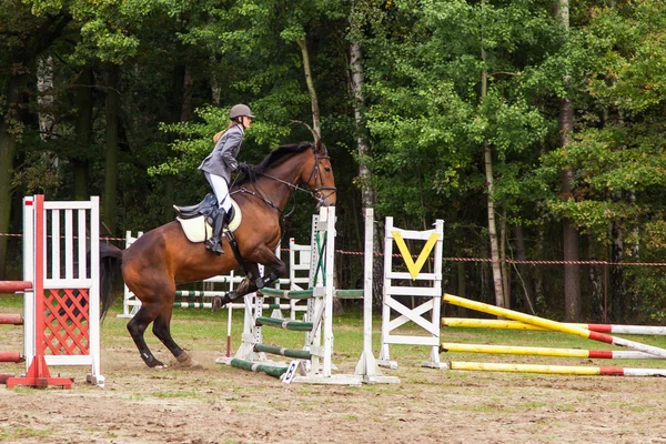 Wroclaw, Polonya: Eylül 29 - at denemeler Wroclaw