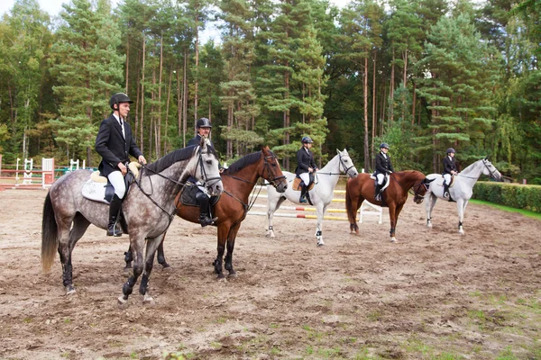 Wroclaw, Polónia: SEPT 29 - Julgamentos em cavalos em Wroclaw — Fotografia de Stock