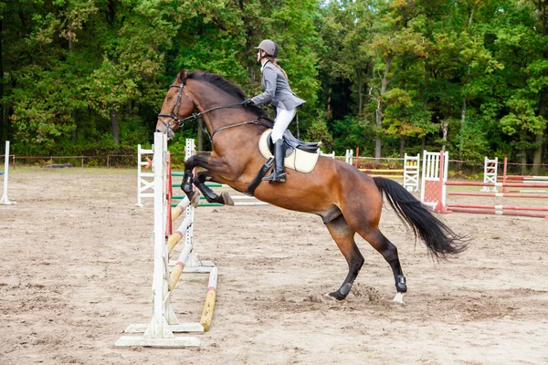 Wroclaw, Poland: SEPT 29 - Horse trials in Wroclaw — Stock Photo, Image