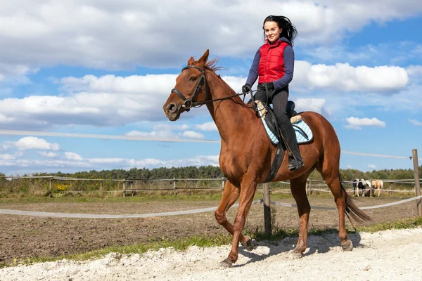 Молодая женщина верхом на лошади — стоковое фото