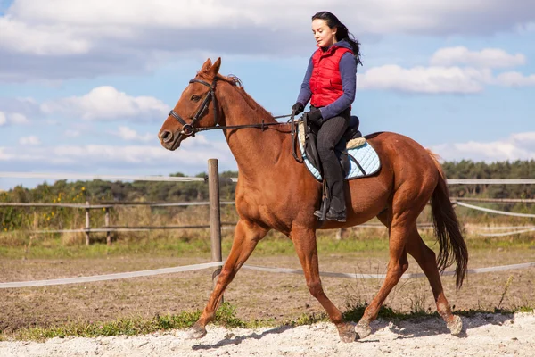 Giovane donna a cavallo — Foto Stock