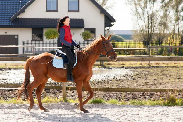 Young woman riding a horse — Stock Photo, Image