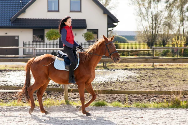 Jovem mulher montando um cavalo — Fotografia de Stock