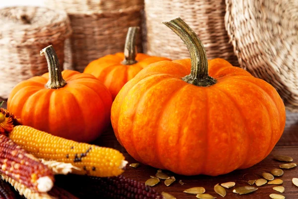 Fresh beautiful pumpkins — Stock Photo, Image