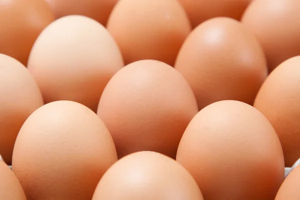 Eggs in a container — Stock Photo, Image