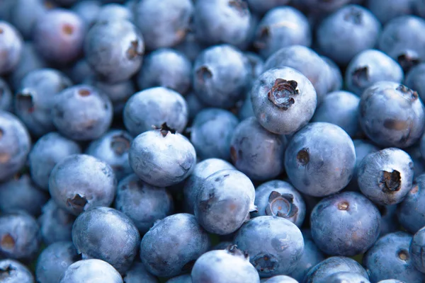 Blueberries macro photo — Stock Photo, Image