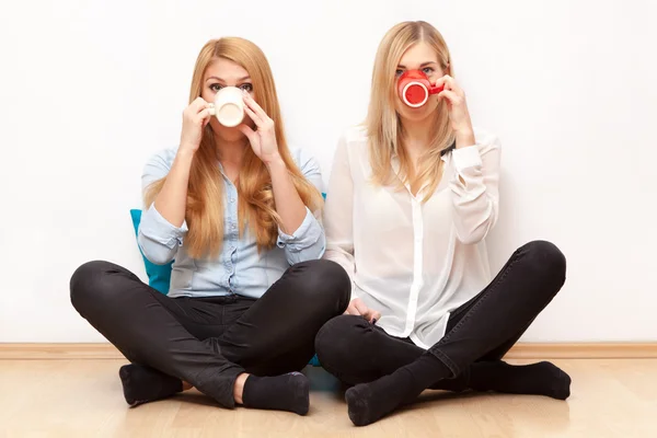 Two female friends having fun — Stock Photo, Image