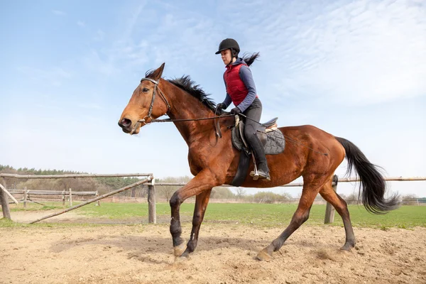Mujer joven montando un caballo — Foto de Stock