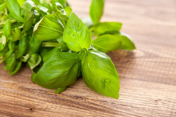 Basil leaf — Stock Photo, Image