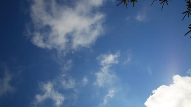 Nuvens Vídeo De Bancos De Imagens