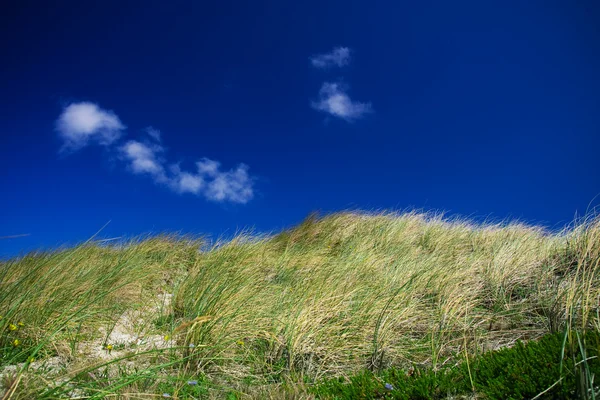 Dune-serien — Stockfoto