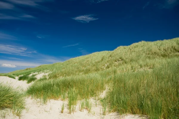 Dune-serien — Stockfoto