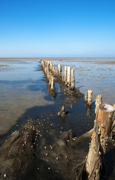 Wooden breakwater — Stock Photo, Image