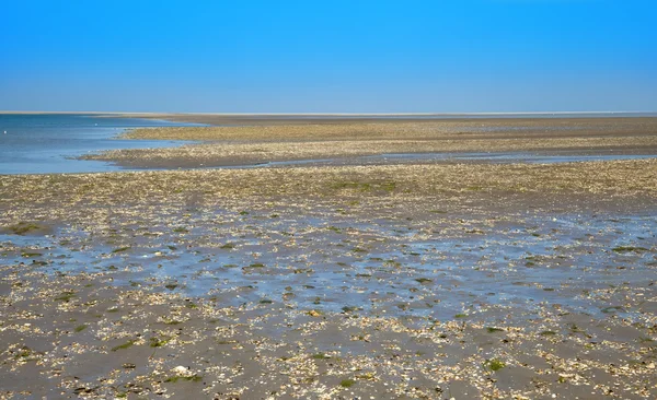 Wadden sea — Stock Photo, Image