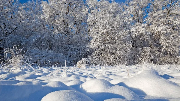 Paysage Hiver Avec Soleil Matin — Photo