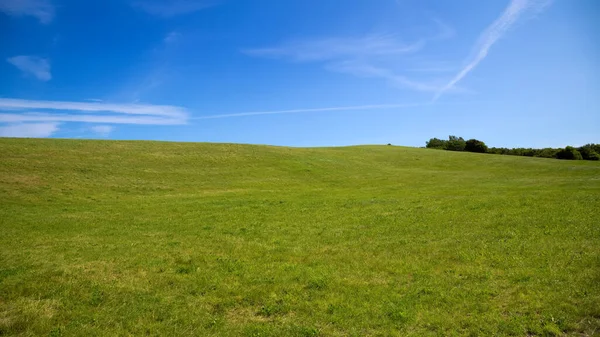 青い空の緑の牧草地 — ストック写真