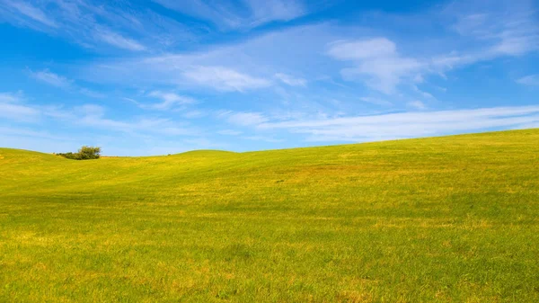 Prado Verde Com Céu Azul — Fotografia de Stock