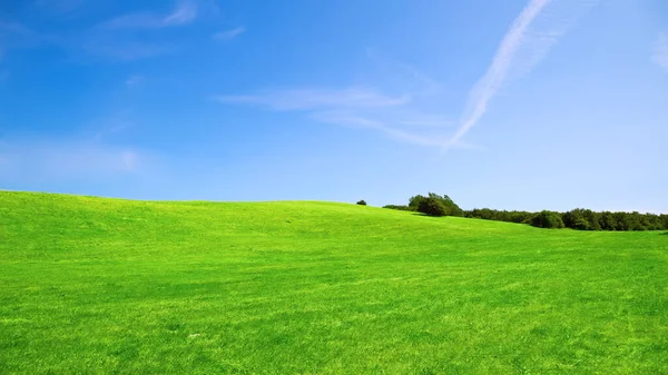 Prado Verde Com Céu Azul — Fotografia de Stock