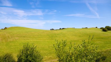 Mavi gökyüzü olan yeşil çayır