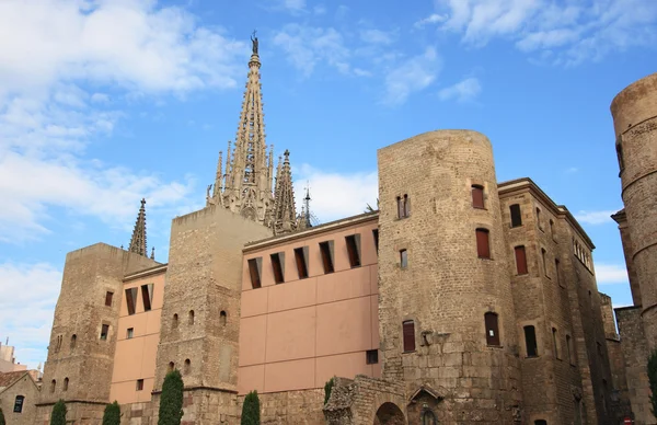 Barcelona katedralen fasad — Stockfoto