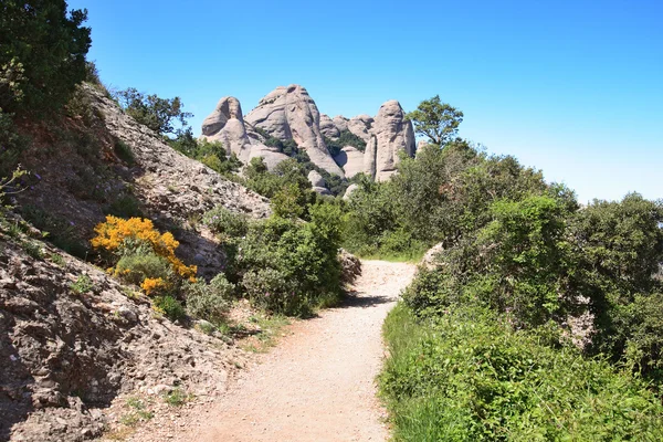 Montserrat — Stockfoto