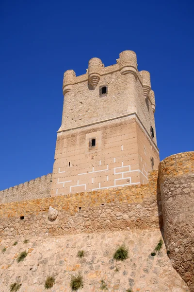 Villena hrad v costa blanca alicante Španělsko — Stock fotografie