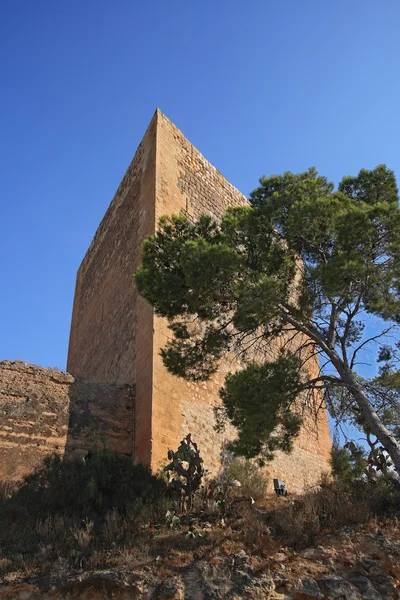 Αρχαίο κάστρο la Μόλα του novelda, Ισπανία — Φωτογραφία Αρχείου