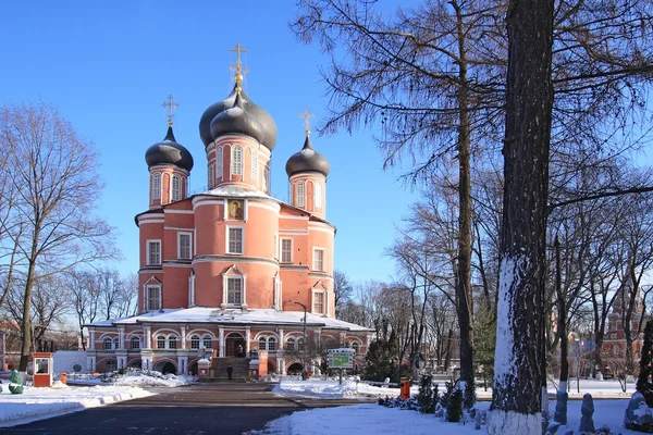 Донського монастир. великий собор — стокове фото