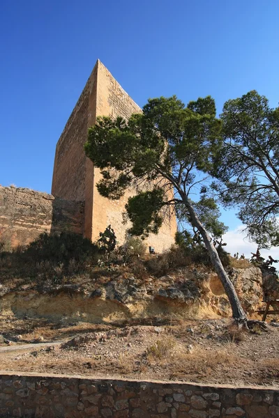 Ancient Castle La Mola of Novelda, Alicante, Spain. — Stock Photo, Image