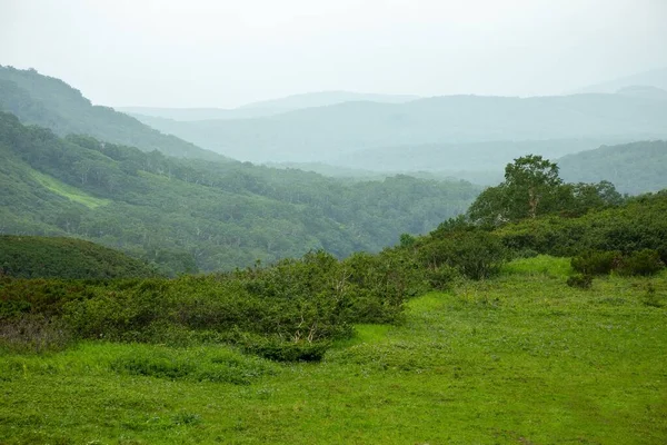 Vale Dos Vatchkazhets Antigo Campo Vulcânico Uma Rota Trekking Muito — Fotografia de Stock